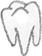 tooth